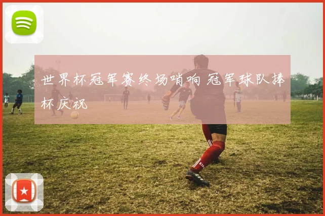 世界杯冠军赛终场哨响 冠军球队捧杯庆祝