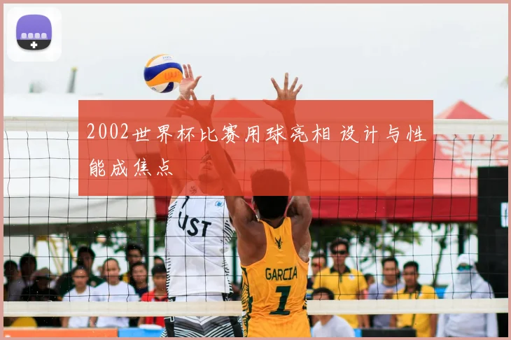2002世界杯比赛用球亮相 设计与性能成焦点